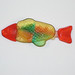 Ray Fish Photo 18