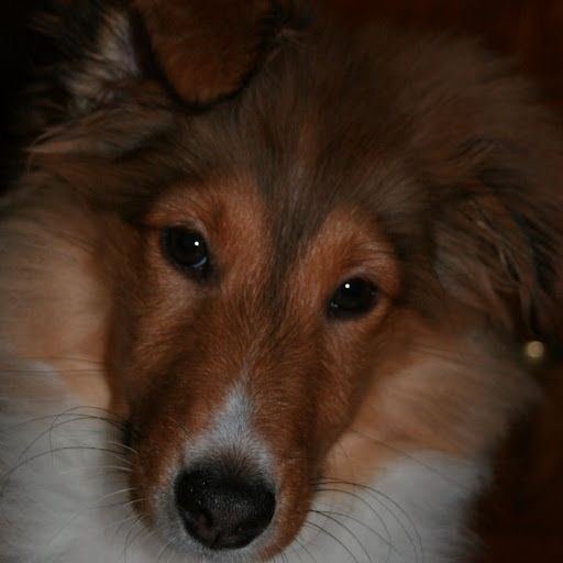 Terry Bell Photo 10