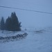 Pat Freeman Photo 17