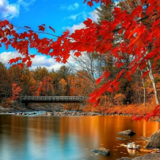 Karen Agnew Photo 17