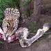 Martha Lea Photo 9