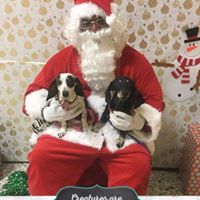 Nicole Perdue Photo 35