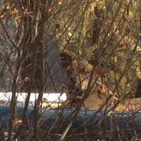 Sarah Nadeau Photo 8