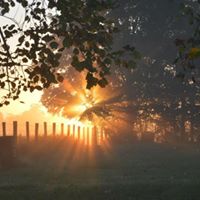 Linda Proffitt Photo 11