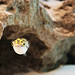 Joanne Chance Photo 7