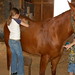 Allison Brush Photo 11