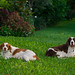 Stanley Archie Photo 5