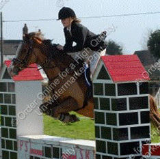 Elizabeth Swales Photo 3