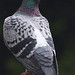John Weatherly Photo 16