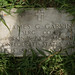 James Garvin Photo 38