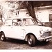 Noel Cooper Photo 5
