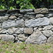 Morris Walls Photo 4
