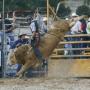 William Knox Photo 17