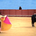 Yolanda Sevilla Photo 10