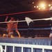 Randy Savage Photo 36