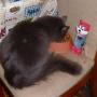 Judy Fletcher Photo 28