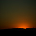 David Preiss Photo 9