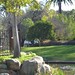 Susan Keck Photo 26