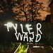 Tyler Ward Photo 13