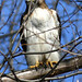 Terry Hawks Photo 14