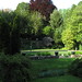 Lisa Mosely Photo 8