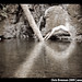 Jamie Loop Photo 11