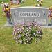 Richard Copeland Photo 11