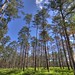 Sam Houston Photo 19