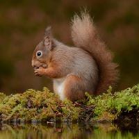 Matthew Roper Photo 36