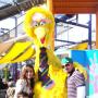Ana Duarte Photo 5