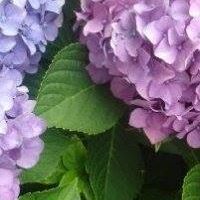 Colleen Bybee Photo 3
