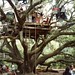 Jennifer Gunter Photo 27
