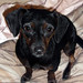 Laurie Strayer Photo 4