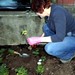 Sarah Ferrier Photo 21