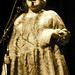 Paul Fitzgerald Photo 30