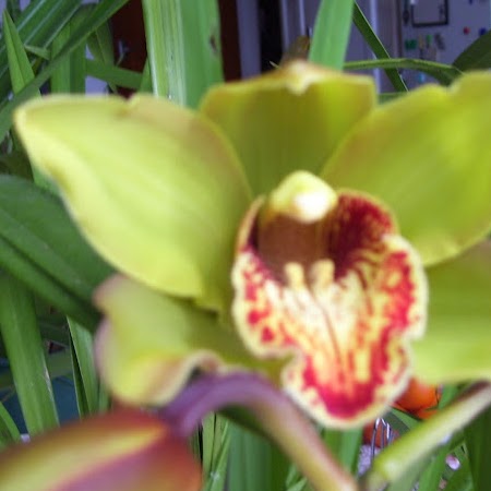 Maureen Peters Photo 13