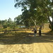 Thelma Robertson Photo 15