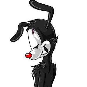Yakko Warner Photo 13