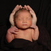 Nicholas Hand Photo 9