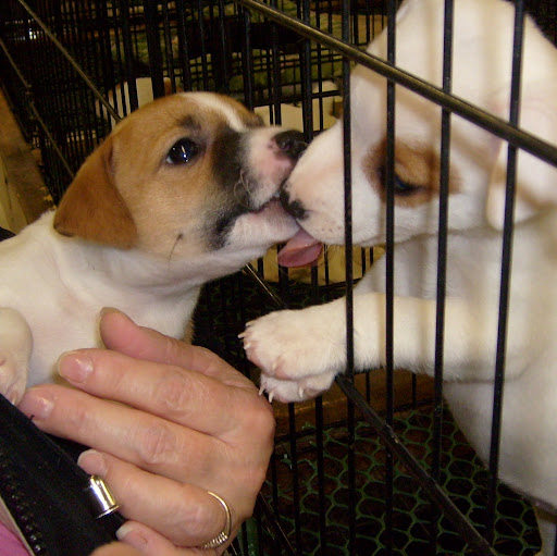 Jane Hutchison Photo 24 Jane Hutchison Photo 24