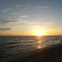Steve Joyce Photo 36