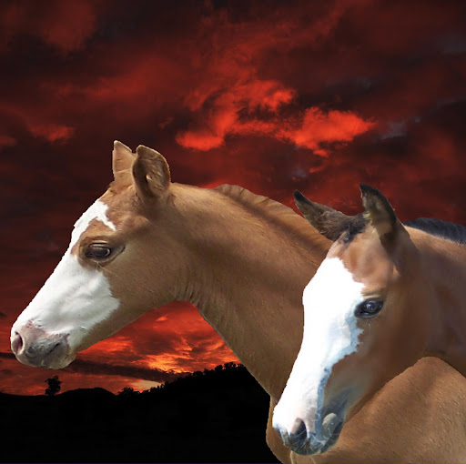 Donna Bright Photo 6