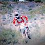 Steven Katz Photo 29