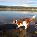 Tina Lake Photo 13