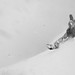 Josh Dodson Photo 31