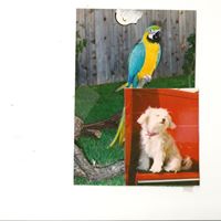 Kathleen Callahan Photo 19