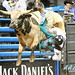 Mark Griego Photo 9