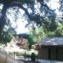 Jimmy Conner Photo 14