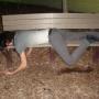 Dustin Langston Photo 19
