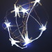 Deborah Light Photo 8